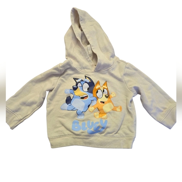 Bluey Toddler Hooded Sweatshirt 12-18 Months - Picture 1 of 3